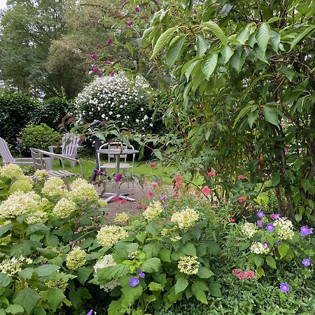 De Viersprong Bed & Breakfast Laren  Exterior photo
